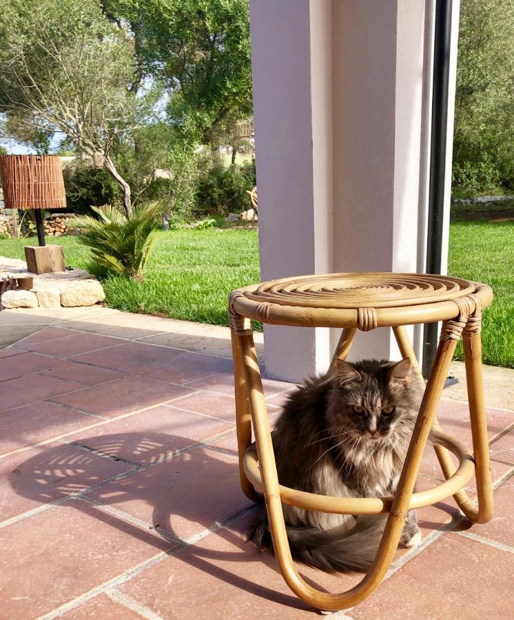 Hotel La Casa Menorca Ferreries Esterno foto